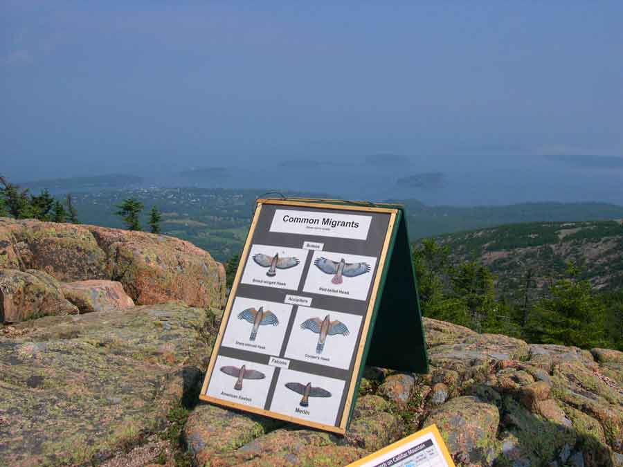 Cadillac Mountain