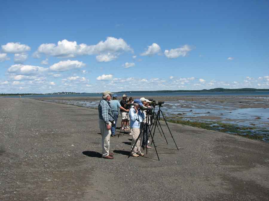 South Lubec Sand Flats