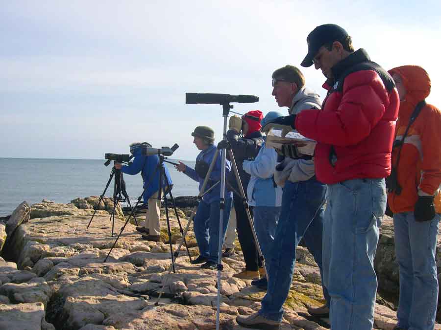 Seawall in Manset