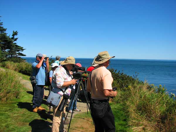 Quoddy view