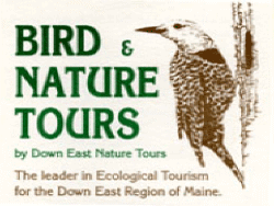 Down East Nature Tours