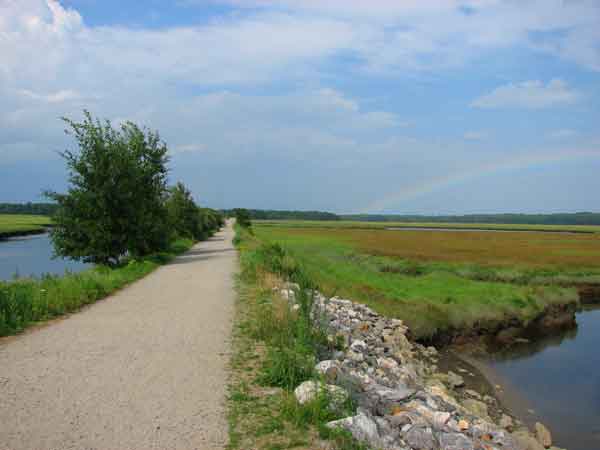 Scarborough Marsh