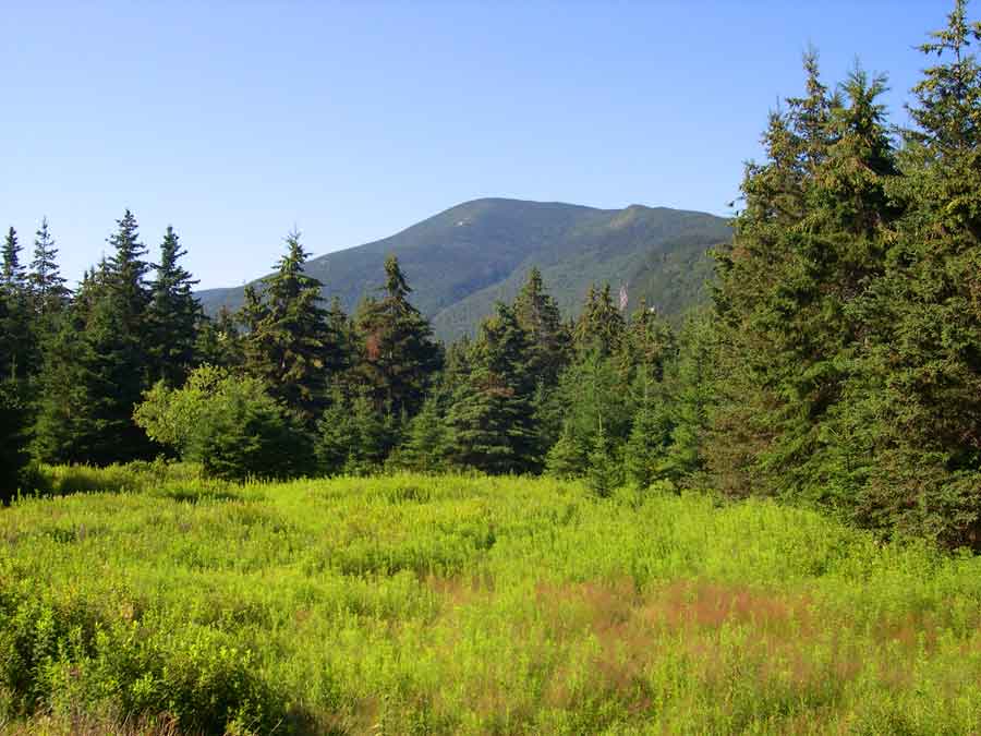 Grafton Notch